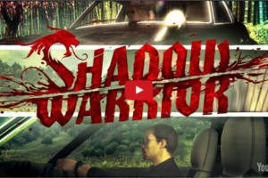 download free shadow warrior game